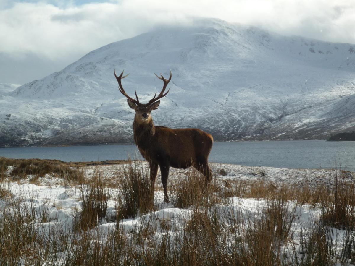 Caledonian Cabin Invergarry Εξωτερικό φωτογραφία